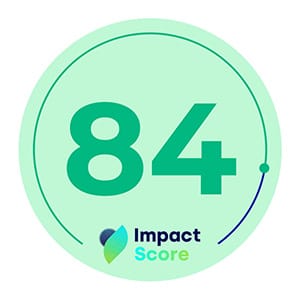 Handiwork impact score 84